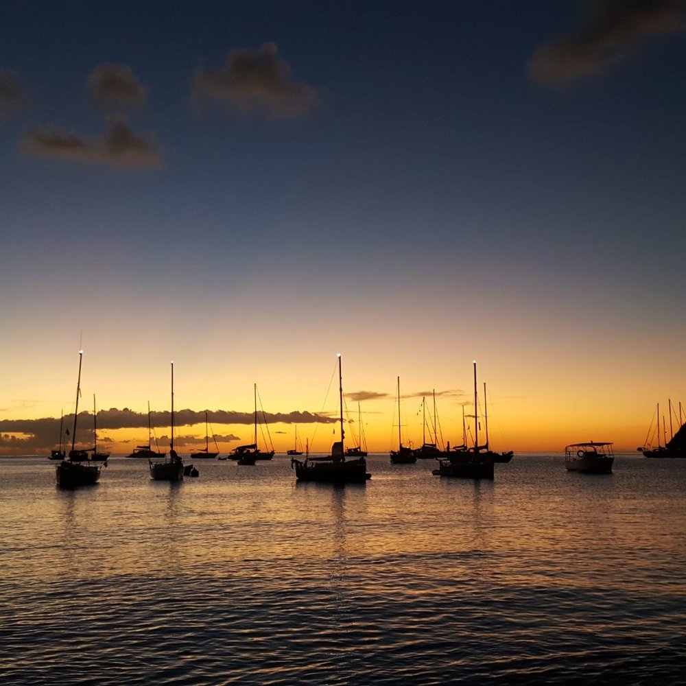 Meet your Posher, Asha